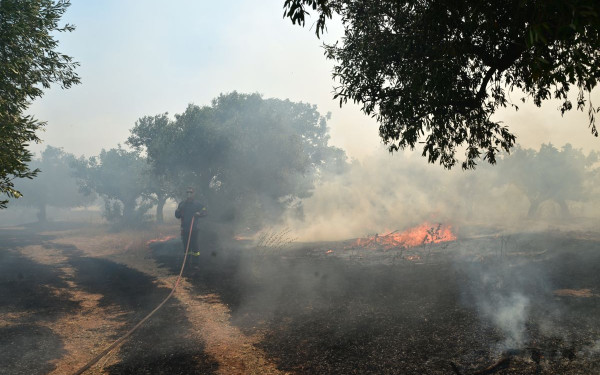 Νέα πυρκαγιά στη Βέροια: Συναγερμός στον ορεινό όγκο κοντά στην Καστανιά