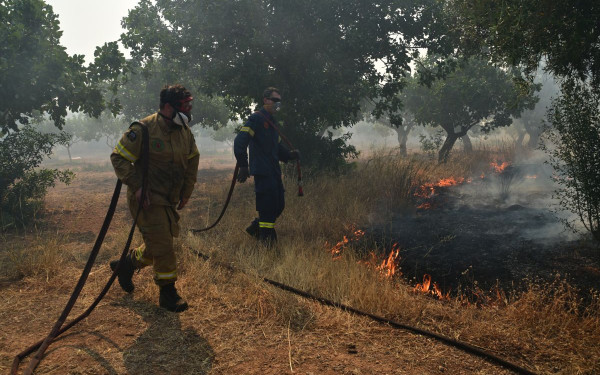 Στις φλόγες η Δυτική Αττική - Σε κλοιό φωτιάς το Πόρτο Γερμενό - Πυρκαγιές σε Κεφαλονιά και Φωκίδα