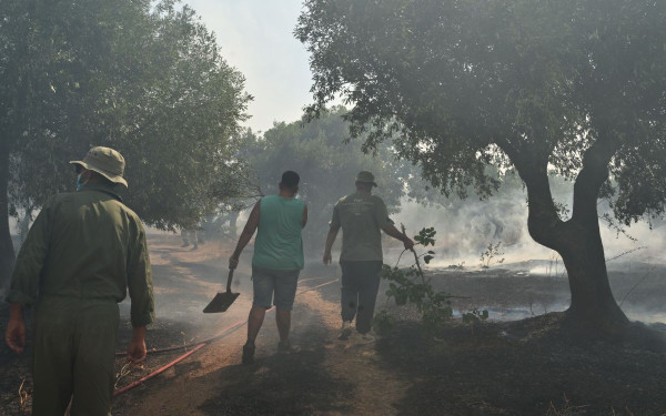 Στον ανακριτή αύριο οι δύο συλληφθέντες για την καταστροφική πυρκαγιά στη Βοιωτία