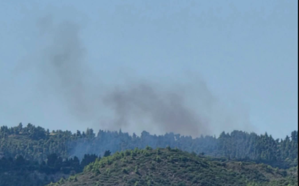 Συναγερμός στη Χαλκιδική: Φωτιά ξέσπαε σε δασική έκταση