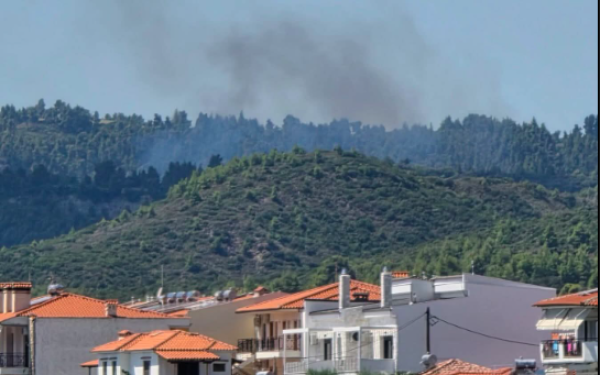 Συναγερμός στη Χαλκιδική: Φωτιά ξέσπασε σε δασική έκταση