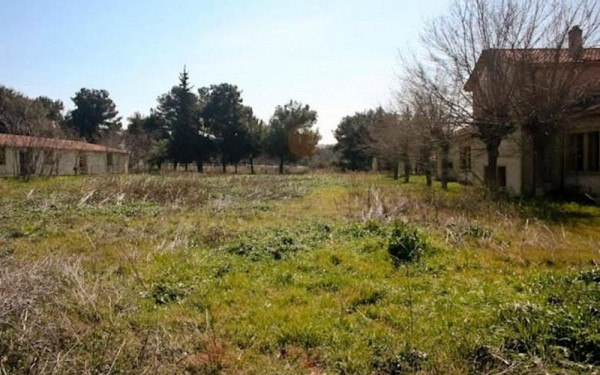 Θεσσαλονίκη - Στρατόπεδο Παπαβασιλείου: «Προίκα», ακίνητο 20.000 τ.μ από το ΤΕΘΑ στη Μητρόπολη Νεαπόλεως - Σταυρουπόλεως