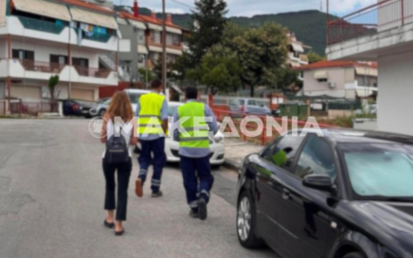 Χαλκιδική: Στον εισαγγελέα δύο υπάλληλοι του ΔΕΔΔΗΕ για τη φωτιά στη Σίβηρη
