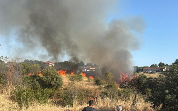 Θεσσαλονίκη: Φωτιά στα Κοιμητήρια Μηχανιώνας - Επιχειρούν και εναέρια (βίντεο)