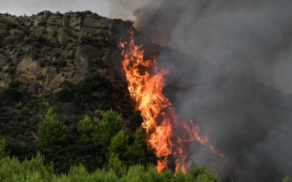 Πυρκαγιά στο Μουζάκι Πύργου - Μεγάλη κινητοποίηση της Πυροσβεστικής, 105 πυροσβέστες στο μέτωπο