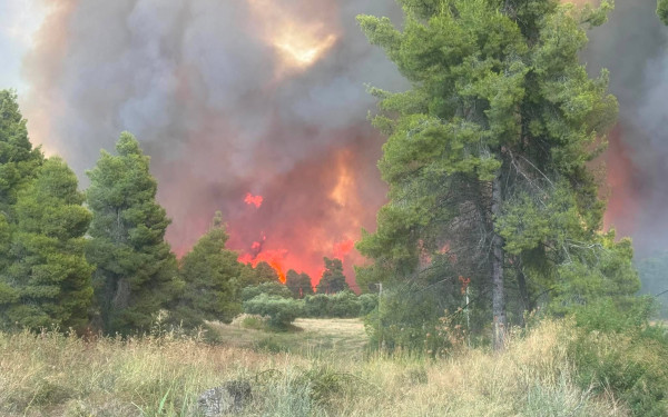 Μεγάλη φωτιά στη Χαλκιδική - Εκκενώνονται Σίβηρη και Φούρκα, απειλούνται σπίτια (βίντεο)