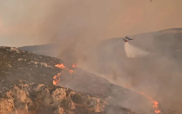 Φωτιά σε δασική έκταση στη Κω: Eπιχειρούν 3 αεροσκάφη και 2 ελικόπτερα
