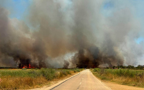 Πυρκαγιά στον Ίμερο Ροδόπης- Μήνυμα του 112 για εκκένωση δύο περιοχών