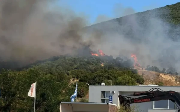 Φωτιά σε χαμηλή βλάστηση στο Κοκκινόχωμα Καβάλας: Ήχησε το 112 - Κοντά σε σπίτια οι φλόγες (βίντεο)