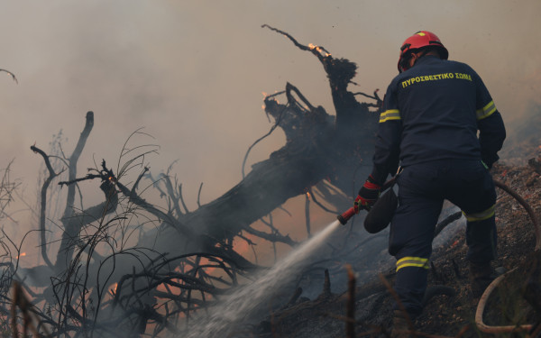 Φωτιά στη Χαλκιδική: Ένας πυροσβέστης τραυματίας - Μεταφέρθηκε στο νοσοκομείο Πολυγύρου