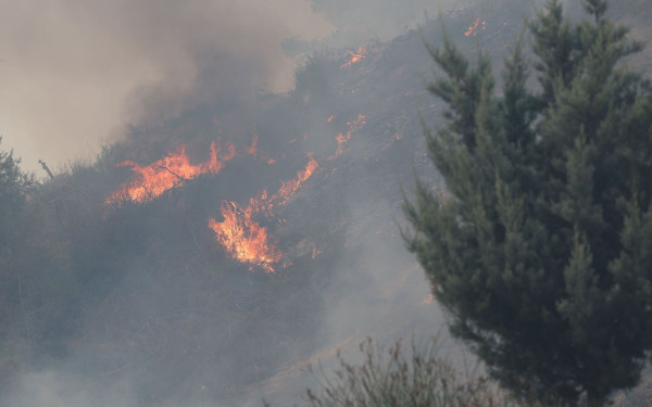 Χαλκιδική: Φωτιά σε χαμηλή βλάστηση στα Σήμαντρα της Νέας Προποντίδας