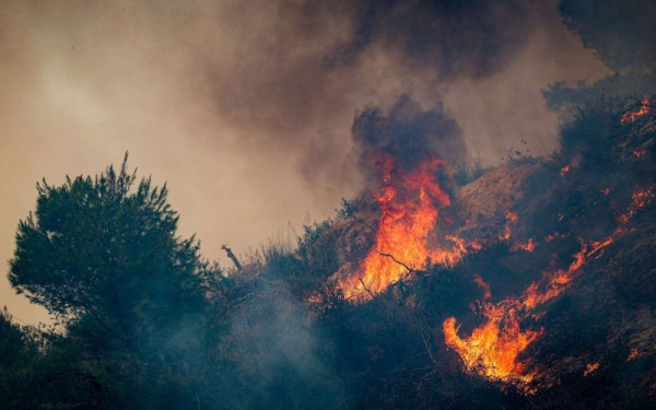 Μάχη με τις φλόγες όλη τη νύχτα στη Βοιωτία - Καλύτερη εικόνα στον Άγιο Βλάσιο
