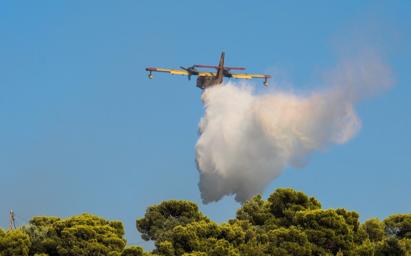 Σαλαμίνα: Πώς έχασαν τη ζωή τους οι δύο άνθρωποι - Η ενημέρωση από το Πυροσβεστικό Σώμα για τη φωτιά στη Σαλαμίνα