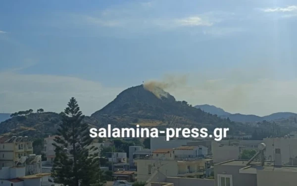 Σαλαμίνα: Φωτιά σε δασική έκταση στον Προφήτη Ηλία - Στη μάχη και εναέρια μέσα