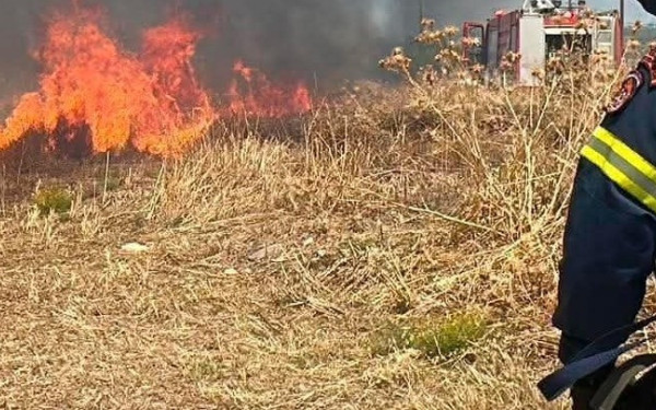 Θεσσαλονίκη: Σε ύφεση η πυρκαγιά στη Σίνδο