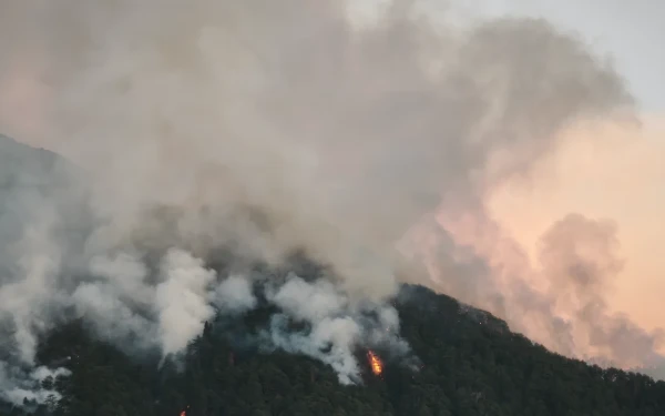 Μάχη με τις φλόγες για όγδοη ημέρα στην Κόνιτσα: «Σφηνωμένη» σε δύσβατα σημεία η πυρκαγιά - Τι λέει η Πυροσβεστική (βίντεο)