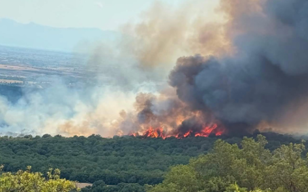 Ξάνθη: Φωτιά σε χαμηλή βλάστηση στο Πετροχώρι - Σηκώθηκαν επτά αεροσκάφη και δύο ελικόπτερα (βίντεο)