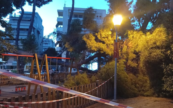 Τραυματισμός μητέρας και μωρού από την πτώση δέντρου στην Καλαμαριά: «Παίζαμε και το δέντρο έπεσε»