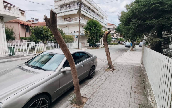 Δήμος Κατερίνης: Αυθαίρετο κλάδεμα δέντρων - Καταγγελία του περιστατικού στην εισαγγελία