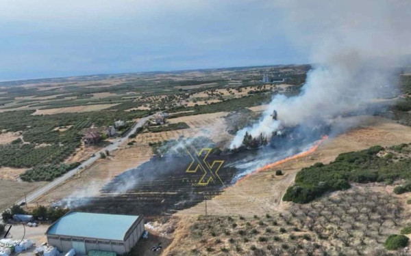 Χαλκιδική: Υπό μερικό έλεγχο η πυρκαγιά στη Νέα Τρίγλια