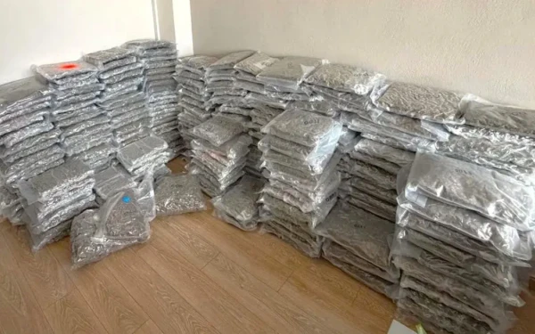 Μπλόκο σε φορτηγό με 300 κιλά κάνναβης στην Ηγουμενίτσα - Συνελήφθη ο οδηγός (βίντεο)