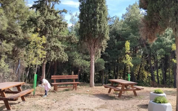 Θεσσαλονίκη: Η επιμονή μιας κατοίκου και ένα μήνυμα στο Στ. Αγγελούδη έδωσε ξανά ζωή στο πάρκο Κρυονερίου