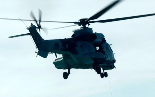 Super Puma της Πολεμικής Αεροπορίας διέσωσε ασθενή από κρουαζιερόπλοιο στη Ρόδο (βίντεο)