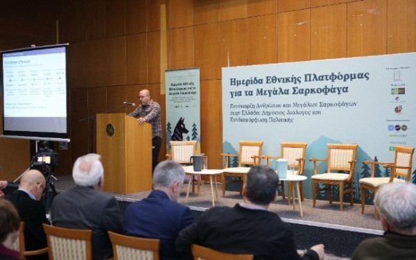 Άγρια ζωή:  Σε 760 υπολογίζονται πανελλαδικά οι αρκούδες - 2100 οι λύκοι
