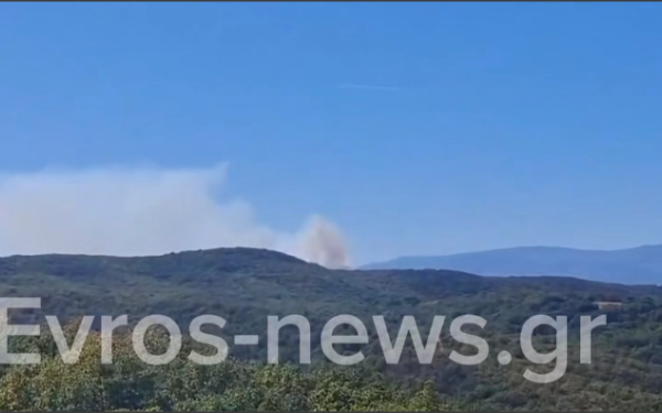Σουφλί: Φωτιά από τη Βουλγαρία πέρασε στον Έβρο - Μεγάλη κινητοποίηση στη Ρούσα