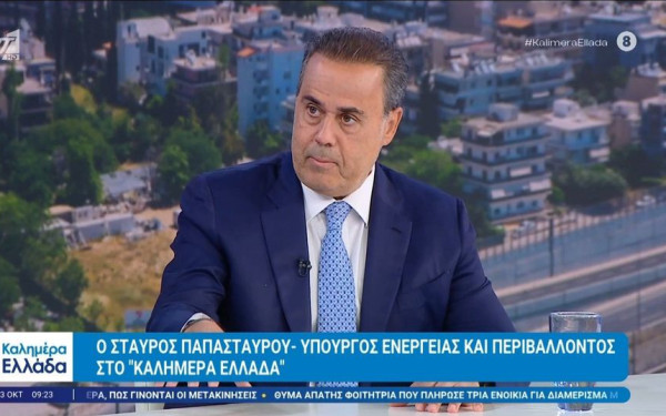 Σ. Παπασταύρου: Η εθνική σημασία του Κάθετου Διαδρόμου και τα δύο μέτρα οικονομικής στήριξης των νοικοκυριών (βίντεο)