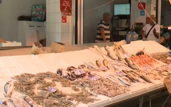 Γεμίζουν ξανά οι πάγκοι στις ιχθυαγορές, σε ποια ψάρια καταγράφονται ελλείψεις (βίντεο)