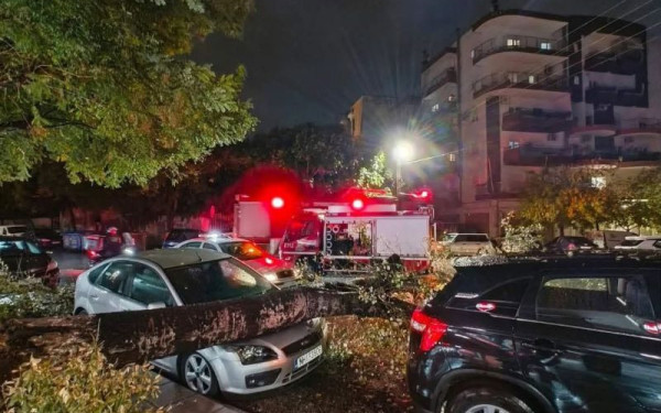 Θεσσαλονίκη: Δέντρο έπεσε πάνω σε δύο οχήματα - Επιχείρηση της Πυροσβεστικής για την απομάκρυνση του