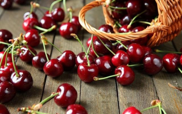 Ν. Πέλλας: Ολική καταστροφή στο πρώιμο κεράσι