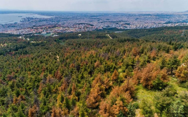 Πόρτα πόρτα ενημέρωση για την αντιπυρική περίοδο σε όσους κατοικούν πλησίον του Σέιχ Σου