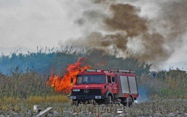 Σε εξέλιξη πυρκαγιά σε δασική έκταση στον Δήμο Σπάτων-Αρτέμιδας	