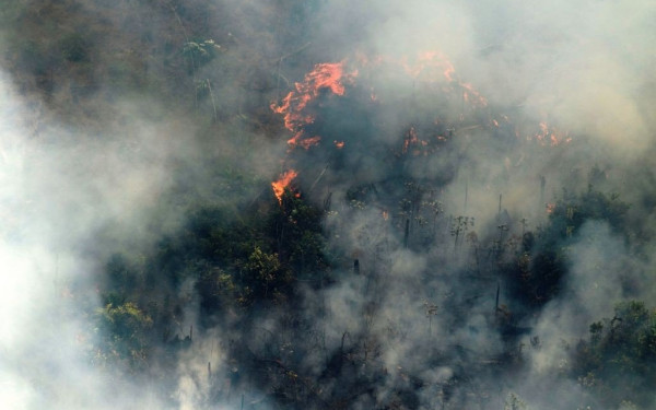 Βραζιλία: Έκταση μεγαλύτερη από ολόκληρη την Ιταλία κάηκε το 2024 - Βαρύ χτύπημα για το τροπικό δάσος του Αμαζονίου