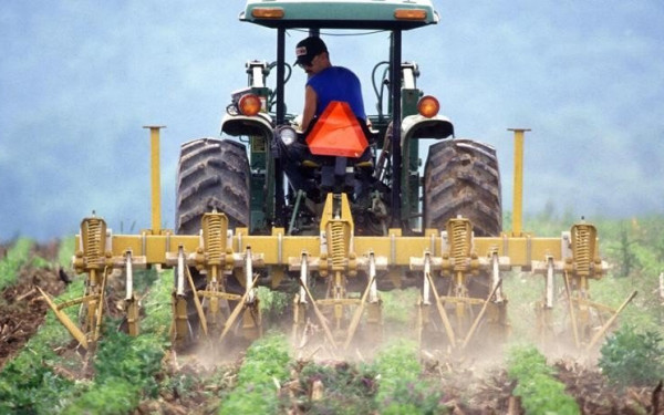 Θεσσαλονίκη: Σε απόγνωση αγρότες, κτηνοτρόφοι - Η «σφαγή των αμνών»… θυσία στο βωμό της ακρίβειας 