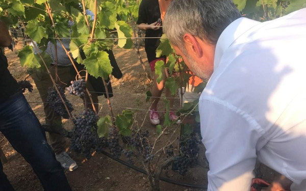 Στις 17 Δεκεμβρίου δημοπρατεί τα κρασιά του ο δήμος Θεσσαλονίκης 