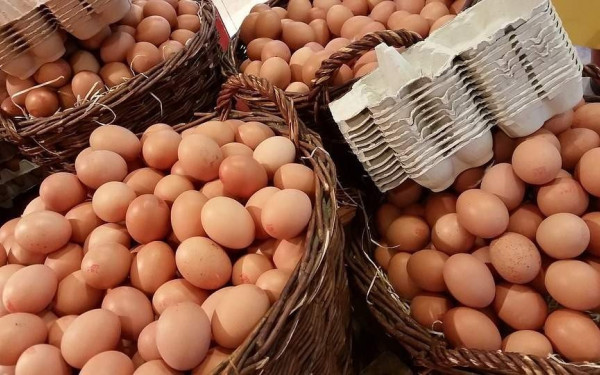 Οι ελληνοποιήσεις των αυγών και η ΑΡΤΕΜΙΣ που θα βάλει ψηφιακή τάξη