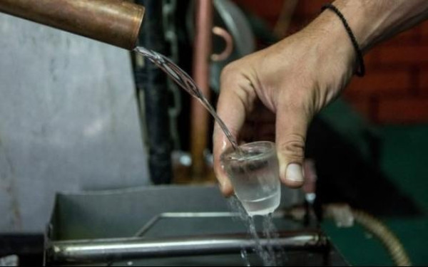 Ξεκινά η απόσταξη για την παραγωγή τσίπουρου και στο Δήμο Θέρμης