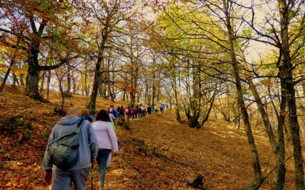 Υπογράφεται μνημόνιο για την ανάδειξη των δασών Σέιχ Σου και Χορτιάτη - Πού στοχεύει
