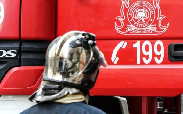 Ηλικιωμένος καταπλακώθηκε από δέντρο που προσπαθούσε να κλαδέψει