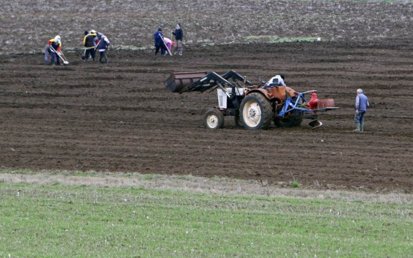 ΟΠΕΚΕΠΕ: Σε ισχύ από σήμερα η ψηφιακή εφαρμογή για αγροτεμάχια χωρίς ΚΑΕΚ