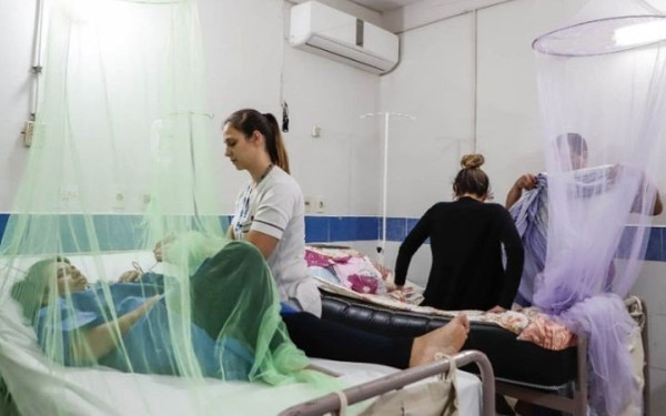 Συναγερμός του ΕΟΔΥ για τον Δάγκειο πυρετό - Τα συμπτώματα, τι πρέπει να κάνετε