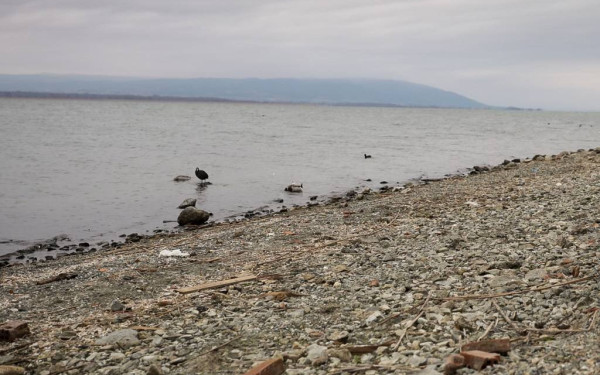 Ανακοίνωση σχετικά με την απαγόρευση ενάσκησης επαγγελματικής και ερασιτεχνικής αλιείας στη λίμνη Βόλβη