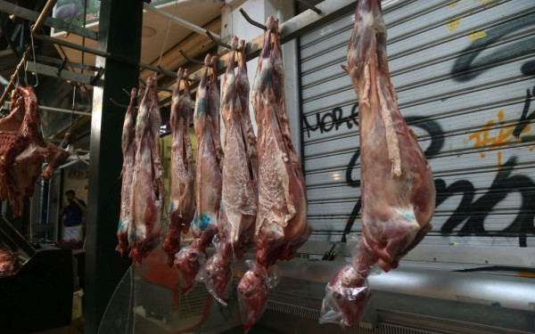 Πάσχα 2023: Το χρηματιστήριο του οβελία - Πότε θα μάθουμε τιμές για αρνί και κατσίκι (βίντεο)