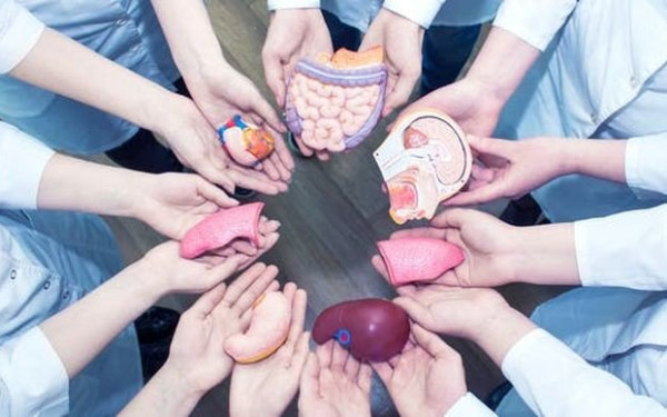 Θεσσαλονίκη: Δώρα ζωής από 62χρονη δότρια οργάνων - Ξεκίνησε η διαδικασία μεταμοσχεύσεων στο ΑΧΕΠΑ