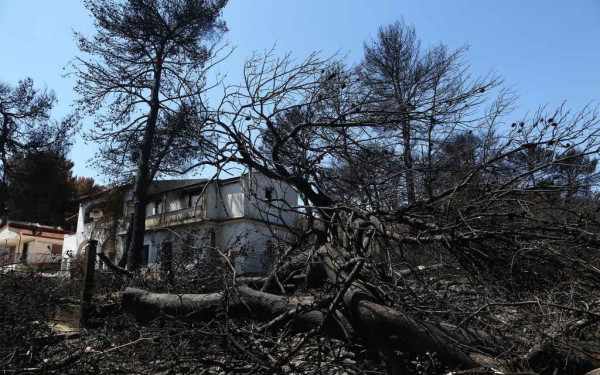 Στάχτη πάνω από 400.000 στρέμματα τις τελευταίες τρεις ημέρες