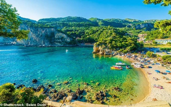 Τριαντόπουλος: Τις 89.000 έφτασαν οι αιτήσεις στην πλατφόρμα «Thessaly Evros Pas» την πρώτη ημέρα (βίντεο)