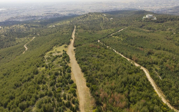 Θεσσαλονίκη: Απαγόρευση κυκλοφορίας σε δασικές εκτάσεις λόγω κινδύνου πυρκαγιάς